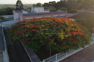 Foto - PRÉDIOS PÚBLICOS